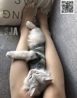 欲念之力