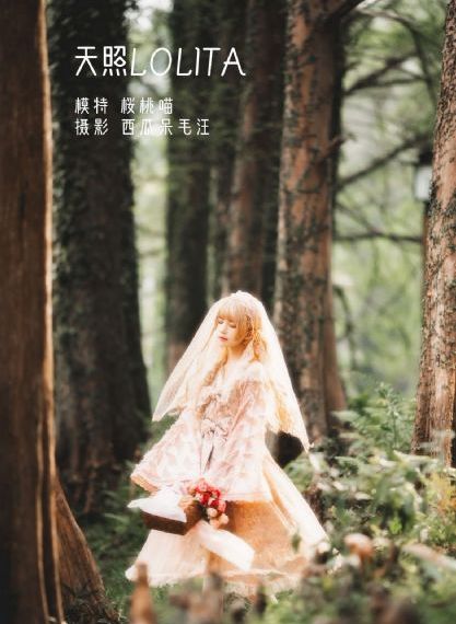 新白娘子传奇免费